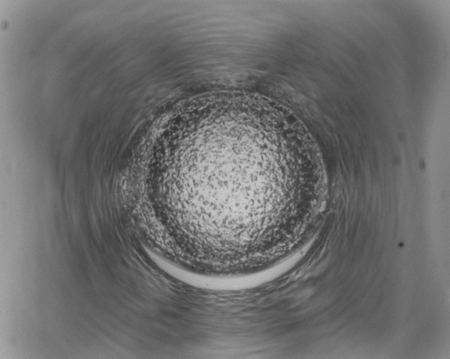 X0000066091202200603171047