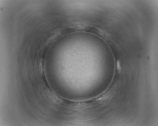 X0000066091203200603171047