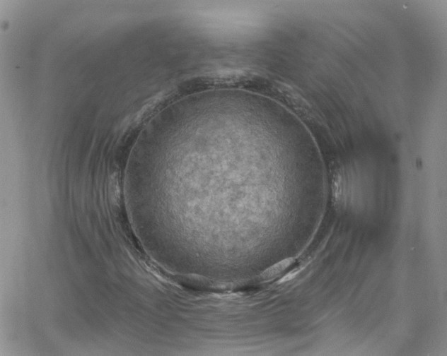 X0000066091204200603171047