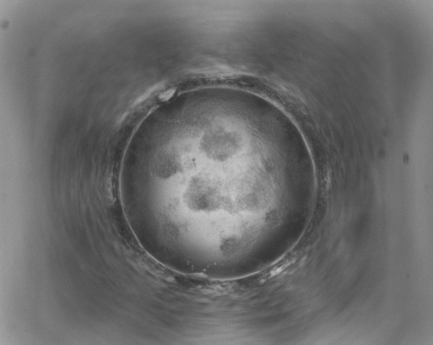 X0000066091205200603171047