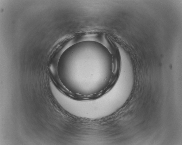 X0000066091206200603171047