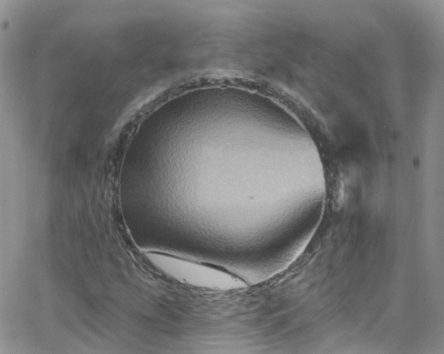 X0000066091207200603171047