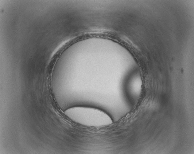 X0000066091208200603171047