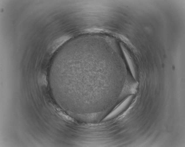 X0000066091209200603171047