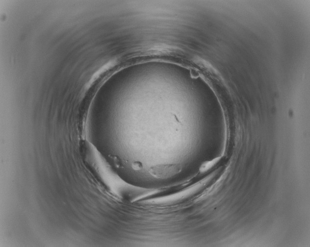 X0000066091210200603171047