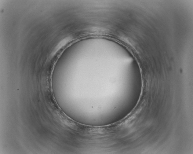 X0000066091211200603171047