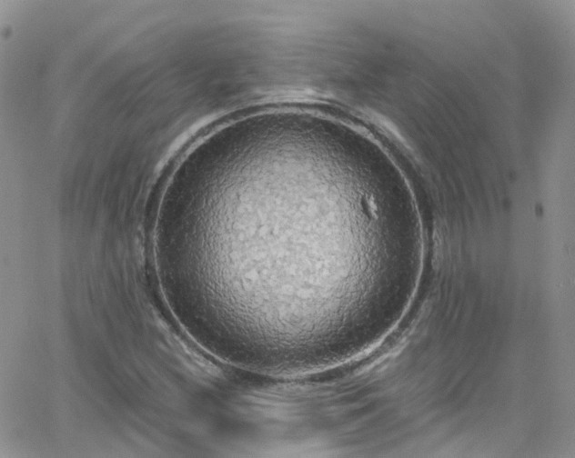 X0000066091212200603171047