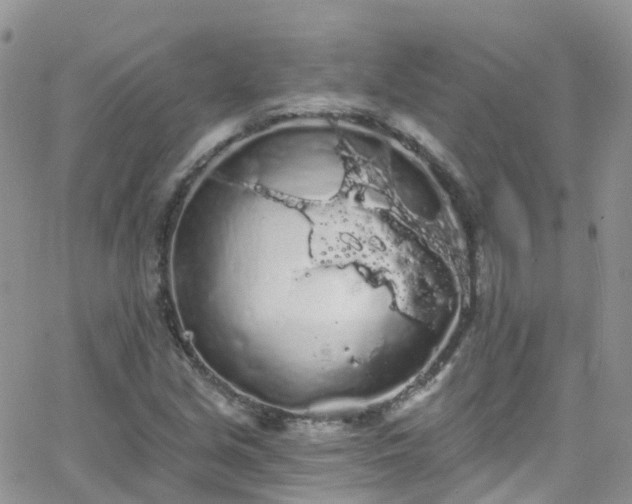 X0000066091213200603171047