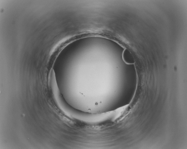 X0000066091214200603171047