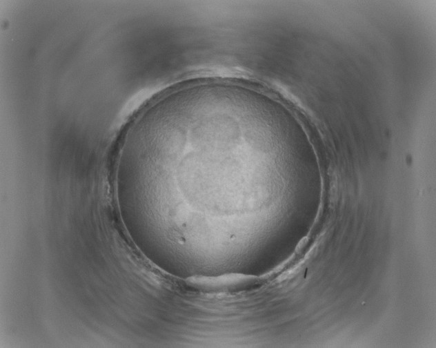 X0000066091215200603171047