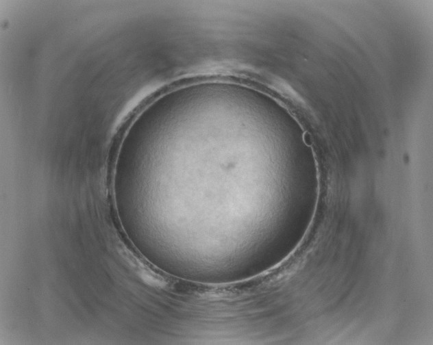 X0000066091216200603171047