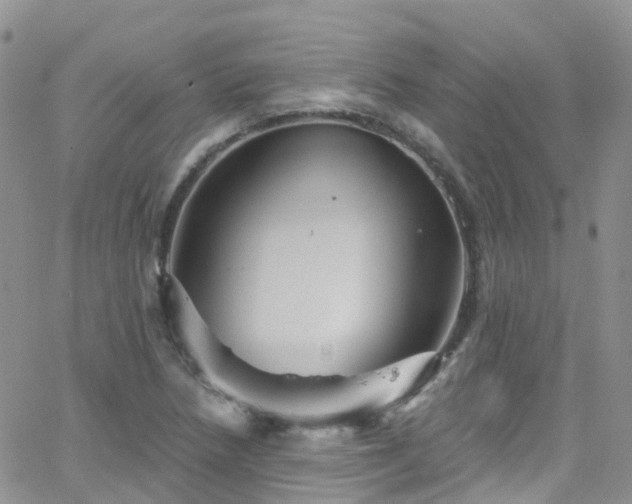 X0000066091218200603171047