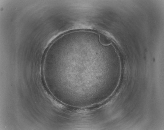 X0000066091220200603171047