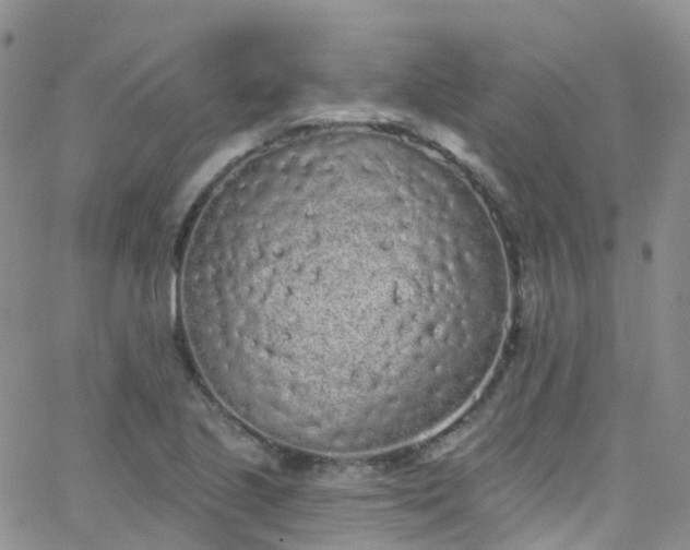 X0000066091221200603171047