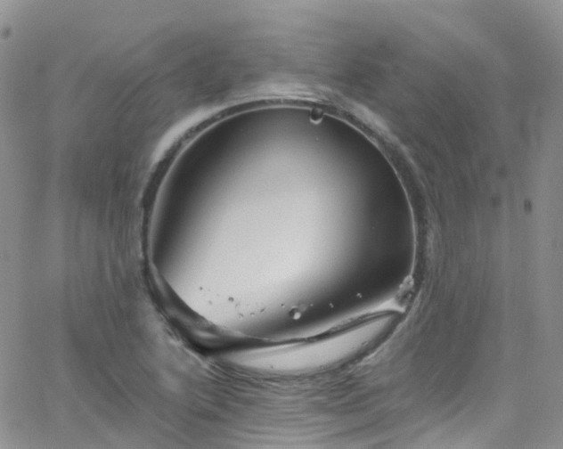 X0000066091222200603171047