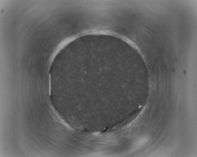 X0000066091223200603171047