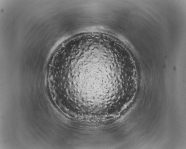 X0000066091224200603171047