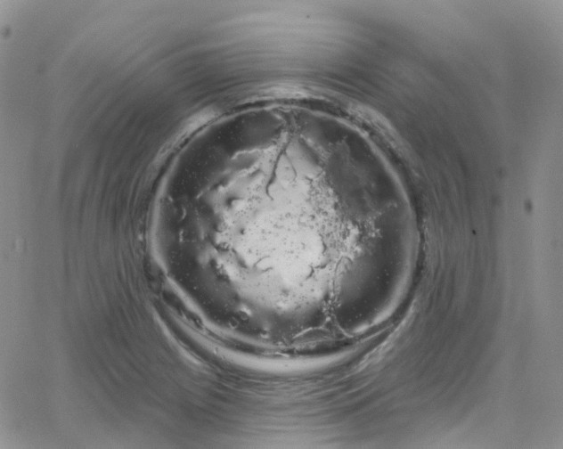 X0000066091225200603171047