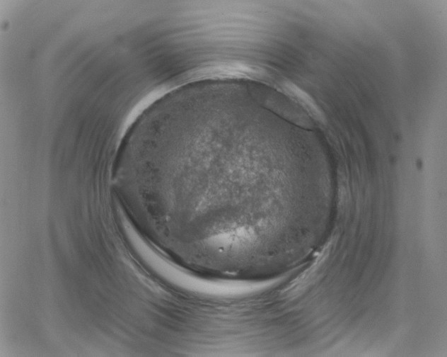 X0000066091226200603171047