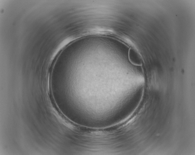 X0000066091227200603171047