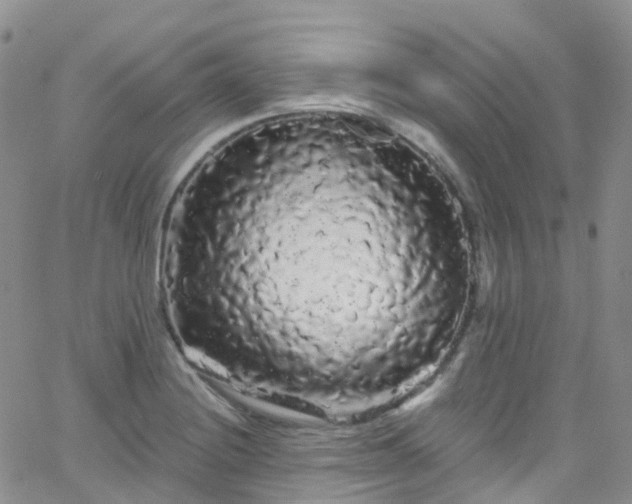 X0000066091228200603171047