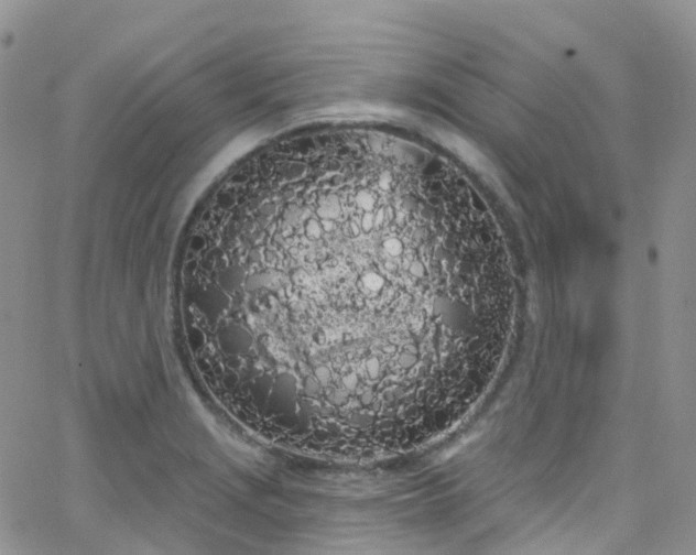 X0000066091229200603171047