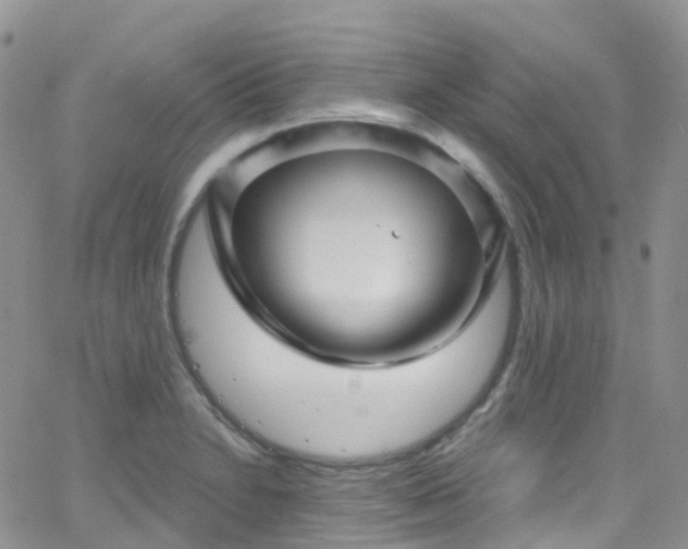 X0000066091230200603171047