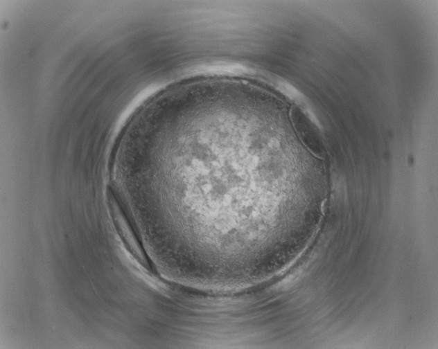 X0000066091232200603171047