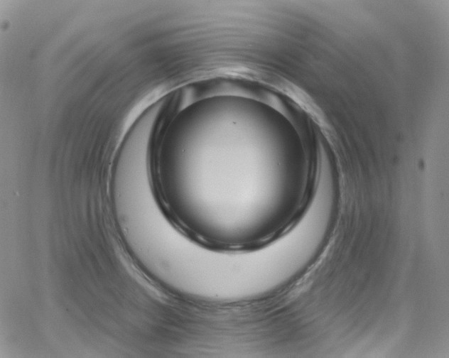 X0000066091234200603171047