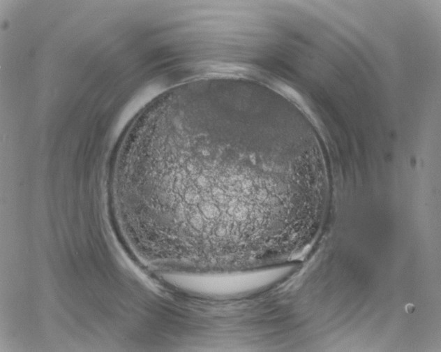 X0000066091235200603171047