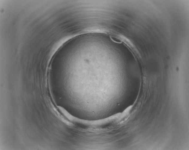 X0000066091236200603171047