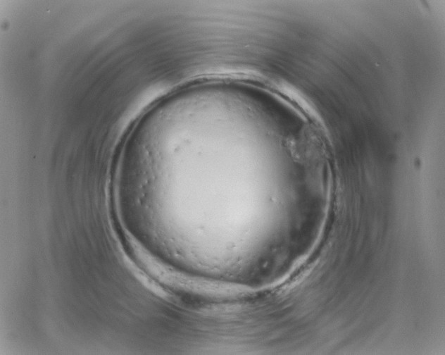 X0000066091237200603171047