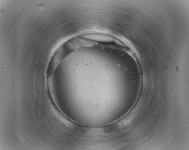 X0000066091238200603171047