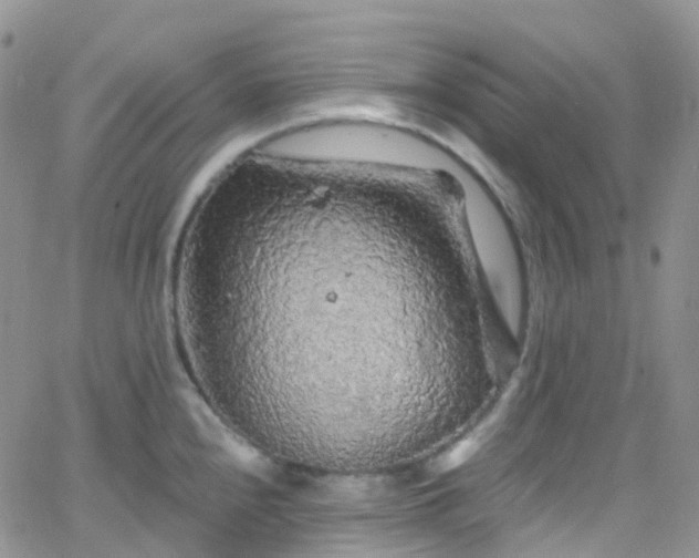 X0000066091240200603171047