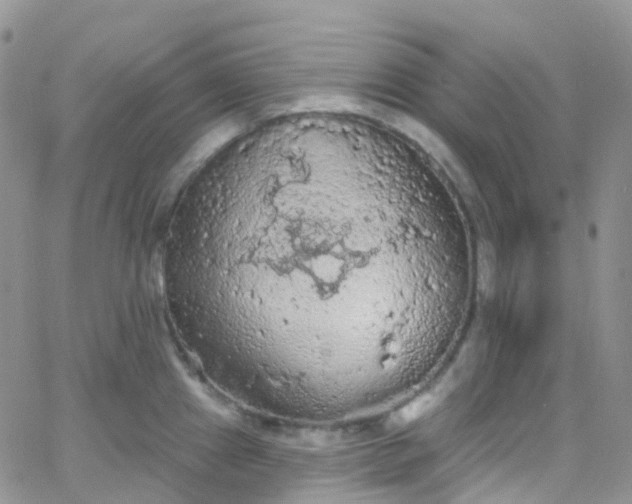 X0000066091241200603171047