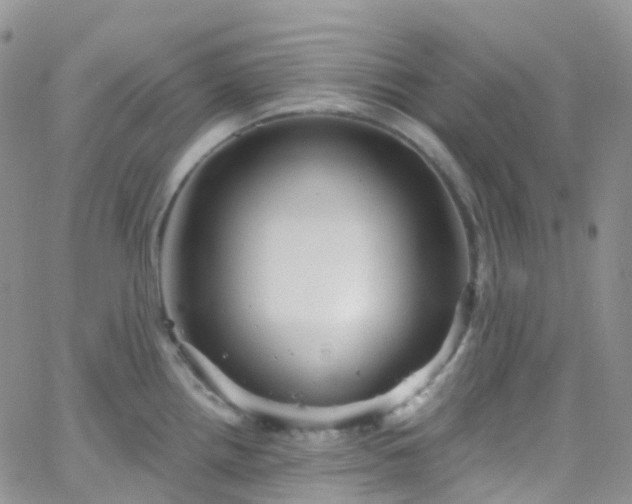 X0000066091242200603171047