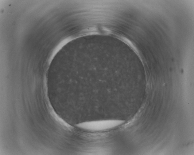 X0000066091243200603171047