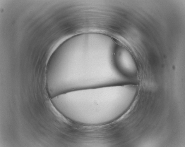 X0000066091244200603171047