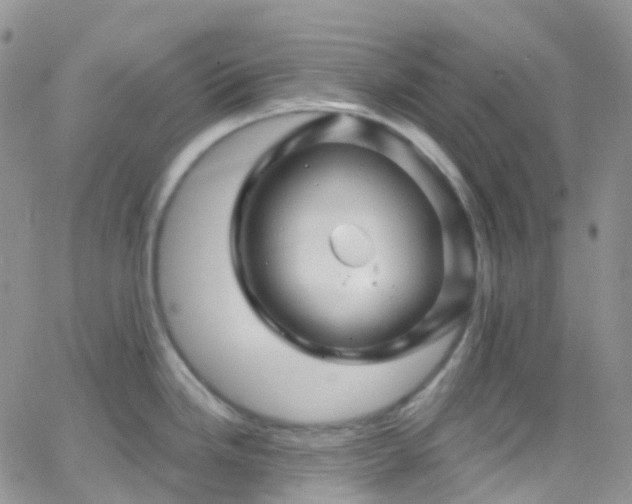 X0000066091246200603171047