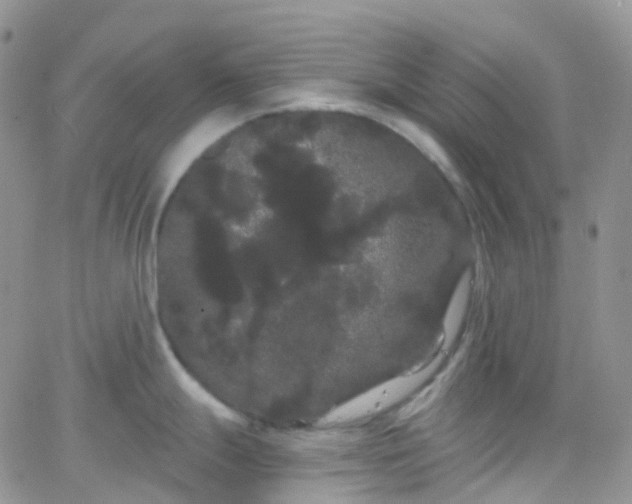 X0000066091247200603171047