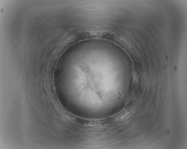 X0000066091249200603171047