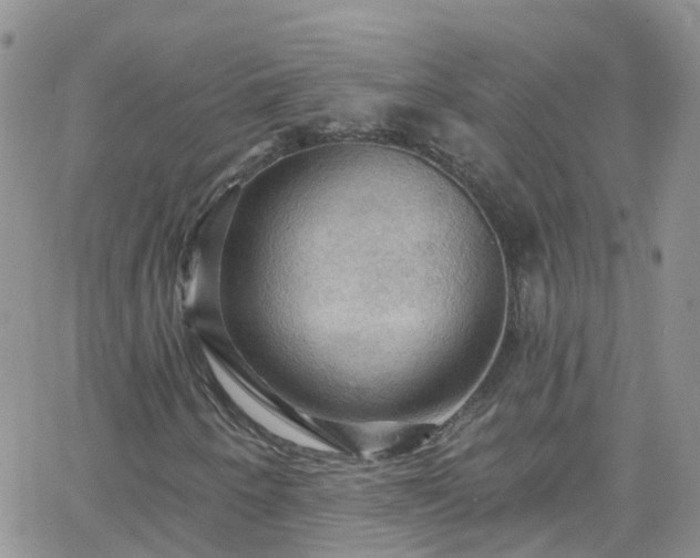 X0000066091250200603171047