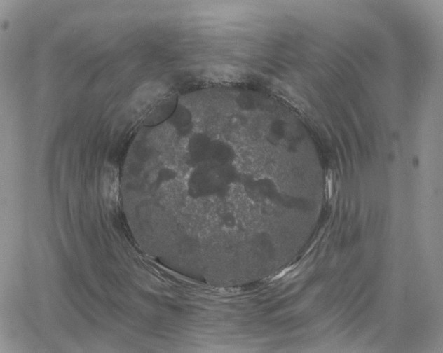 X0000066091251200603171047