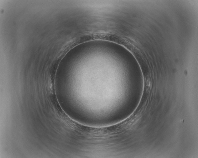 X0000066091252200603171047