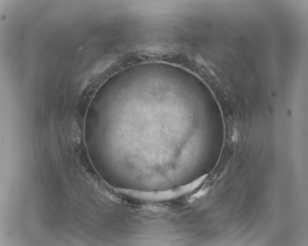 X0000066091253200603171047