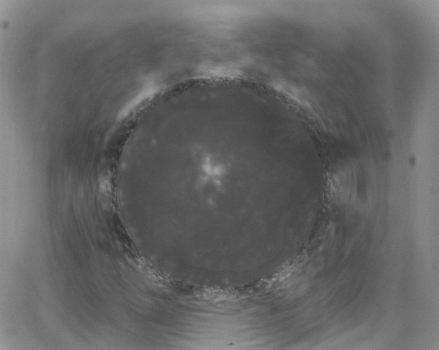 X0000066091254200603171047