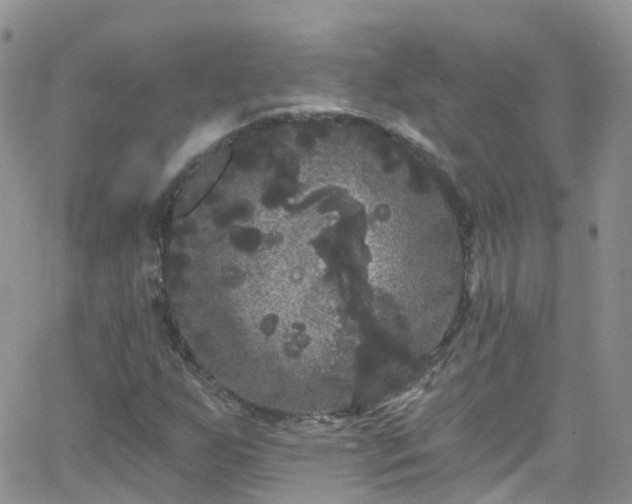 X0000066091255200603171047