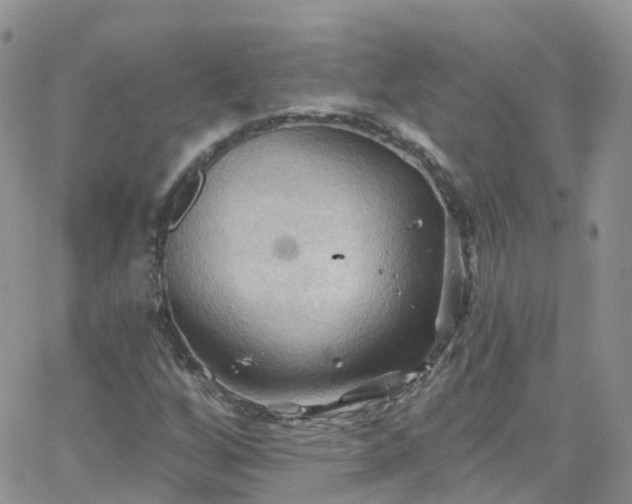 X0000066091256200603171047