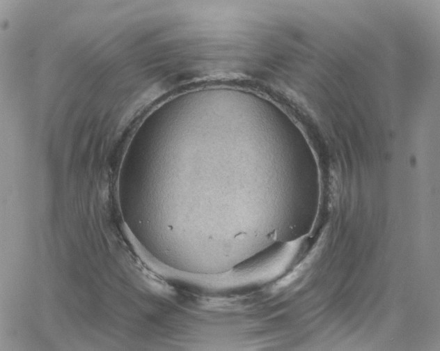 X0000066091257200603171046