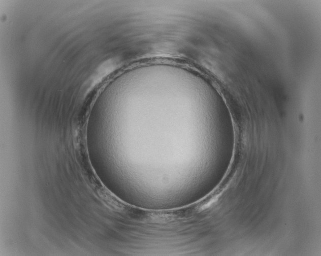 X0000066091258200603171046